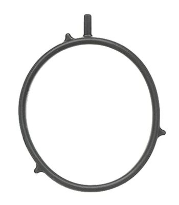 MISSLÅLIG GASKET