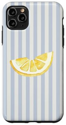 Boho Europeo Estate Limone Bianco e Azzurro A Righe Custodia per iPhone 11 Pro Max