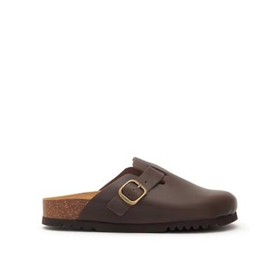 Scholl FAE New