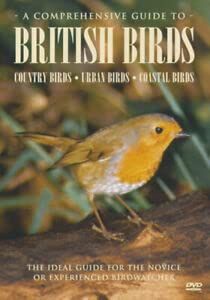 A Comprehensive Guide To British Birds