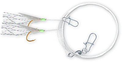 Zebco Premium Holografix fiskekrok med främre monofil fiskelina färdig användning holografiska rigg fisketillbehör, transparent, 10