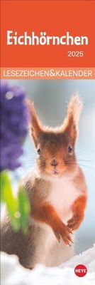 Segnalibro e calendario degli scoiattoli 2025: dolce piccola attenzione a Natale per gli amici degli animali: simpatiche foto di scoiattolo, più pratico piccolo ... in uno! (Segnalibri e calendario