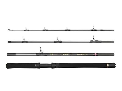 Penn Regiment IV Resespön, saltvatten fiskare fiske hav fisk torsk, havsål, bas, pollock, makrill, haj, stark lättvikt och mångsidig, silver, 2,10 m snabb tvåhänt spö