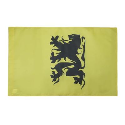Vlaamse Bewegingsvlag 90x60 cm voor een paal - nationalistische Vlaanderensvlaggen 60 x 90 cm - Banier 2x3 ft met gat - AZ FLAG