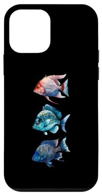Trio di pesci marini colorati Custodia per iPhone 12 mini