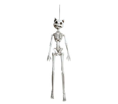 FIESTAS GUIRCA | Cat Skeleton Pendant (37 cm) - Halloween Decoration for Parties and Celebrations - Ideal for Spooky Environments and Scary Settings - White