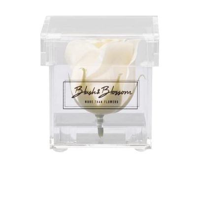Blush & Blossom C01C Fiore, Crema
