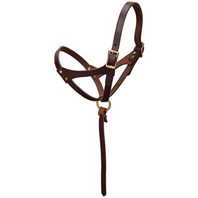 Weaver Leather Figuur 8 Veulen Halter, 5/8" Zuigen, Geolied Canyon Rose