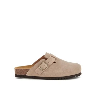Scholl FAE New