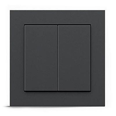 GIRA + Senic Interruptor Inteligente Friends of Hue | Interruptor Inalámbrico con Regulador de Luz para Bombillas Inteligentes Philips Hue | Sin Batería y Sin Carga | Antracita
