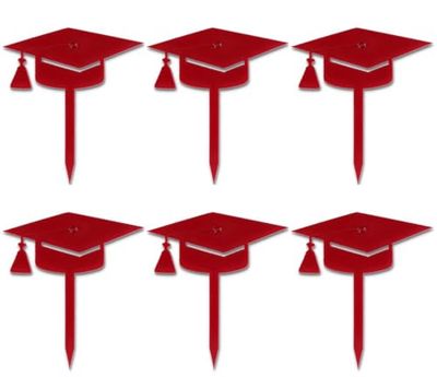 Mini Cake Topper Laurea 6pz