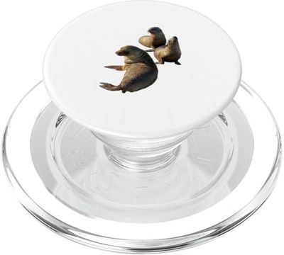 Cape Seal Coastal Wildlife Graphic niños niños PopSockets PopGrip para MagSafe