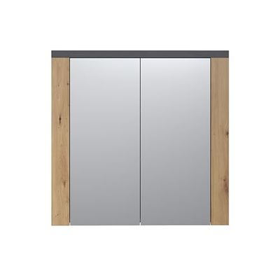 trendteam smart living Szafka z lustrem, materiał drewnopochodny, brązowy, szary, 79 x 78 x 20 cm
