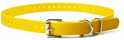 Educator Cães pequenos, médios ou grandes, Biothane, amarelo, 3/4" Wide Fits 300, 400, 500, 900 Series