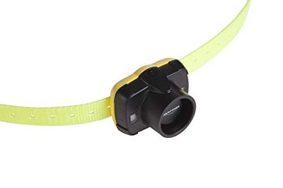 NUM'AXES Collier de repérage sonore pour Chien CANIBEEP 5