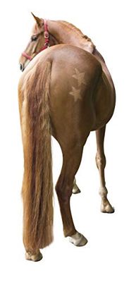 Kerbl 321900 - Plantillas para Cortar Caballos (3 Unidades)