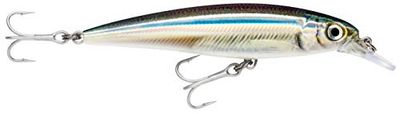 Rapala - Visaas X-Rap Saltwater - Visuitrusting voor grote roofdieren - Visaas Zee Alle vissen - Zwemdiepte 1,2-1,8 m - 10 cm/13 g - Gemaakt in Estland - Anchovy