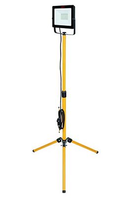 proiettore LED con treppiede (W)