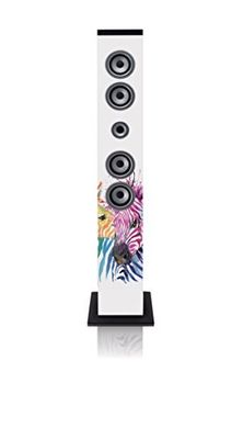 iCes IBT-6 Bluetooth staande luidspreker, 40 watt muziekvermogen (FM-radio, USB, SD-kaartlezer, AUX), afstandsbediening