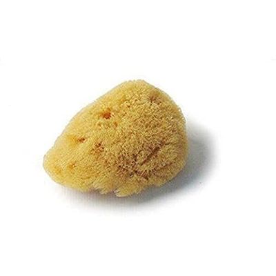 Croll & Denecke Spugna Naturale, Luffa, ca. 5 cm