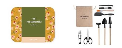 Robert Frederick House Plant Care Kit - Mini Garden Tools - Keep Indoor Plants Healthy
