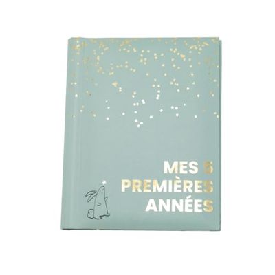 DOMIVA - MON LIVRE DE NAISSANCE SAUGE GOLD MES 5 PREMIERES ANNEES