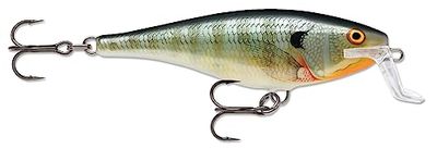 Rapala - Leurre de Pêche Super Shad Rap - Matériel de Pêche avec Corps en Balsa - Leurre Pêche d'Eau Douce - Profondeur de Nage de 1,5 à 2,7m - 14cm / 45g - Fabriqué en Estonie - Blue Gill