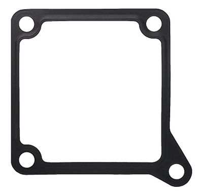 MISSLÅLIG GASKET