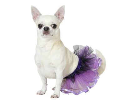 Atosa Costume De Animale Domestico Tutu Viola M