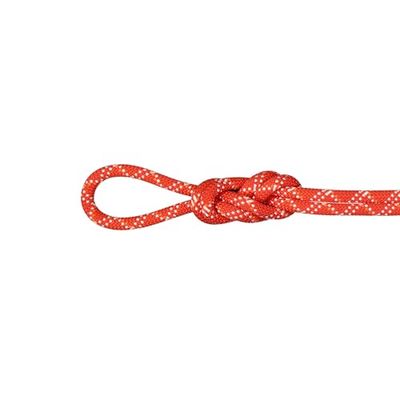 Mammut 9.5 Gym Classic Rope | Klimuitrusting, robuust en duurzaam, 40 m, framboos-wit