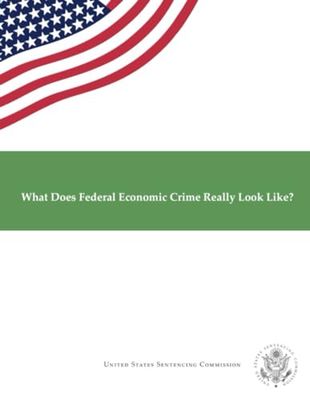 What Does Federal Economic Crime Really Look Like?: January 2019.