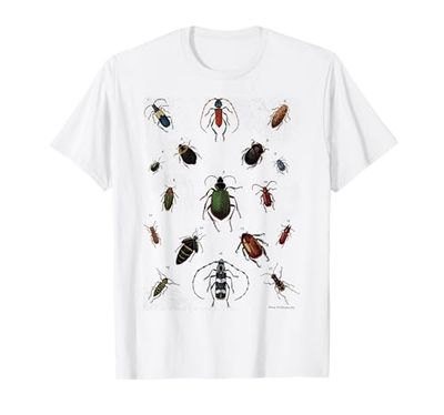 Insetti Specie Insetti Colorati Entomologia Vintage Entomologo Maglietta