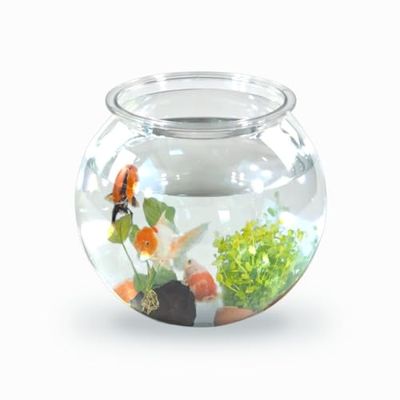 Mobiclinic® pets, Klein rond aquarium, Nemo, 4 liter, Pet eco plastic, Transparant ontwerp, 20x20x17, 5 cm, Makkelijk schoon te maken, Duurzaam, Ideaal voor thuisdecoratie, Waterplanten