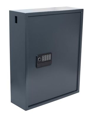 Pavo Armoire à cles Haute sécurité pour 150 clés/Coffre-Fort à clés/Dimension: 550 x 380 x 150 mm/Lecteur d'empreintes digitales/Connecteurs Type-C / 150 Porte-clés Inclus - Avancé