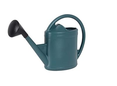 EDA - Gieter ovaal 6 liter Parijse - met appel - 52 x 14,5 x 34 cm - metaalgroen