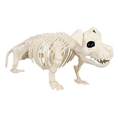 Boland 72416 - Esqueleto para perro, tamaño 52 cm, boca móvil, perro, perro, perro, perro, perro, etc