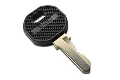 DIGITUS Professional DN-19 KEY-EK333 Key for DN-19 PHS, Black/Stainless Steel, Pack of 1