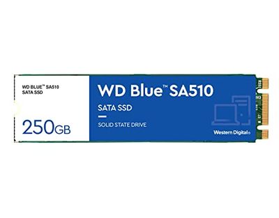 WD Blue SA510, 250 GB, M.2 SATA SSD, fino a 555 MB/s, Include Acronis True Image per Western Digital, clonazione e migrazione del disco, backup completo e ripristino rapido, protezione da ransomware