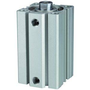 RIEGLER 115162-12.DMI.80060 ACQ - Cilindro a doppia azione, diametro pistone 80, hub 60, G 3/8, 1 pz