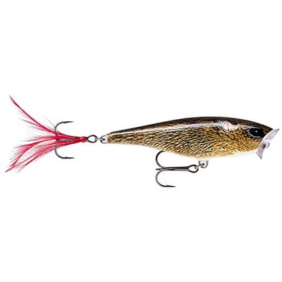 SKITTER POP SUPERFICIE 5CM FML