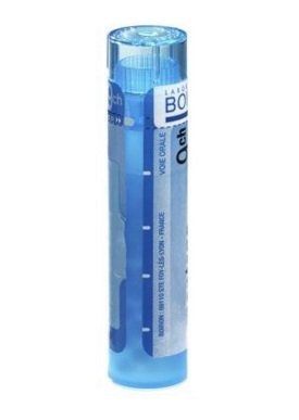 Boiron Calcarea Carbonica 30 Ch Gran