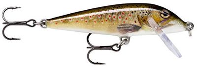 As met haken Twee nr. 5, 2,1-3 m zwemdiepte, 9 cm grootte, levende forel