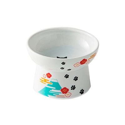 Necoichi Bol surélevé pour Chat