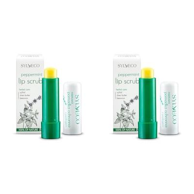 SYLVECO Burrocacao Labbra alla Menta 4,6g - Balsamo Labbra Stick Protettivo per Donne e Uomini - Burro Cacao Labbra Contenente Solo Ingredienti Naturali (Confezione da 2)