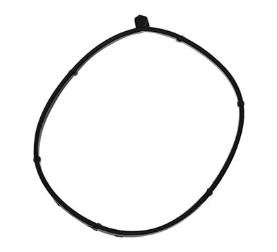 MISSLÅLIG GASKET