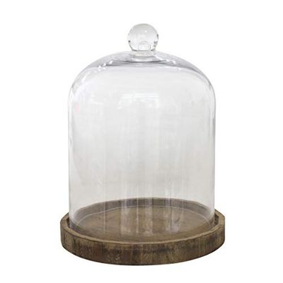 Stonebriar 8.5 Inch Clear Glass Dome Cloche with Rustic Wooden Base, Brown
