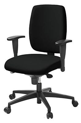 Lanab Group Chaise de Bureau Ergonomique, Noir, Normal