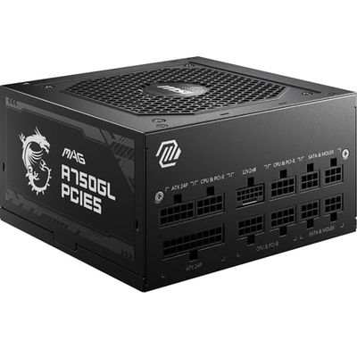 MSI MAG A750GL PCIE5 - EU cord