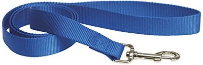CHAPUIS SELLERIE SLA123 Guinzaglio per cani e gatti - Collare in nylon blu - Larghezza 10 mm - Lunghezza 1,20 m - Misura XS