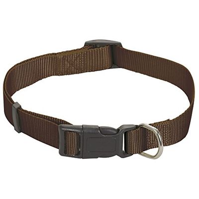 APUIS SELLERIE SLA175 Collare regolabile per cani e gatti - Collare in nylon marrone - Larghezza 10 mm - Lunghezza 20-35 cm - Misura XS